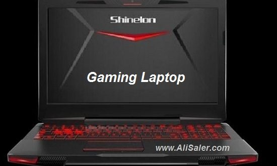 Shinelon gaming laptop bios dump